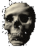 SKULL.gif